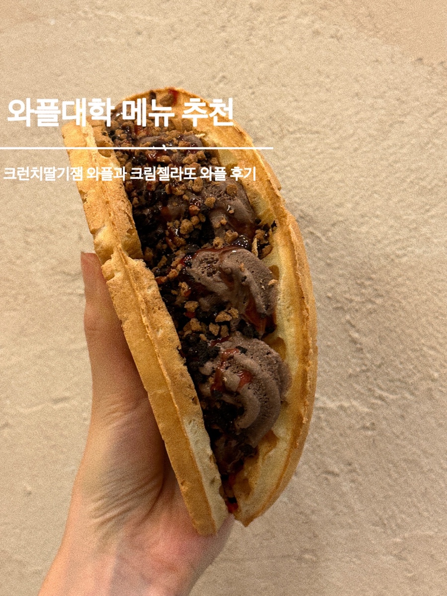 와플대학일산백마캠퍼스 이미지