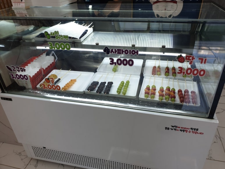 돌고래 탕후루 이미지