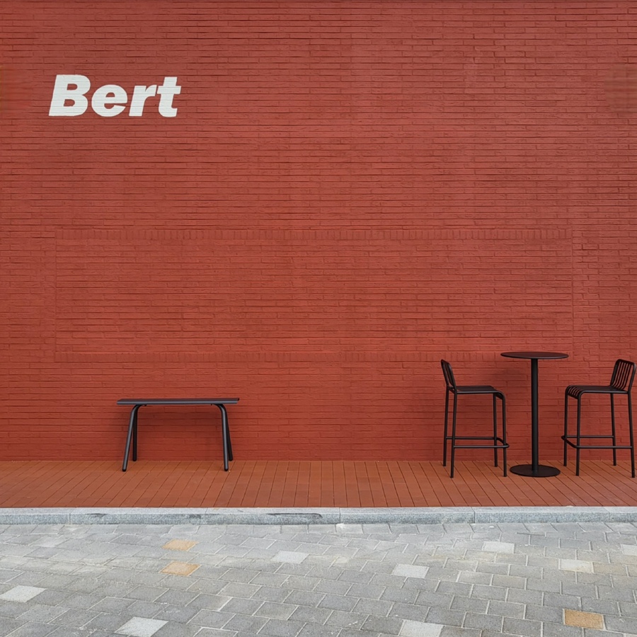 버트 BERT 이미지