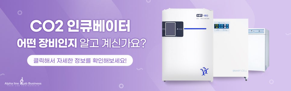 하우스&Cleaning 이미지