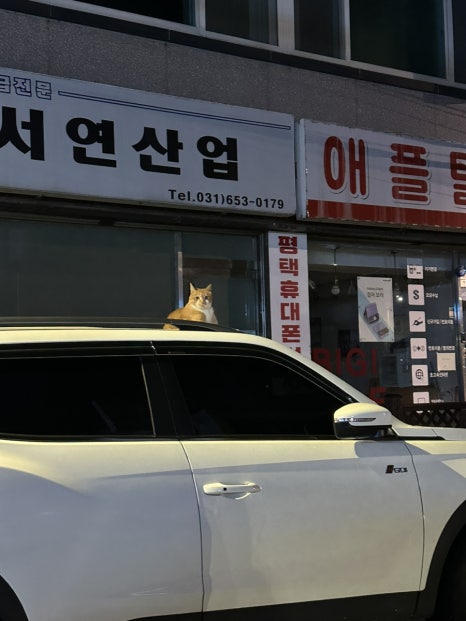 GS25평택서부점 이미지