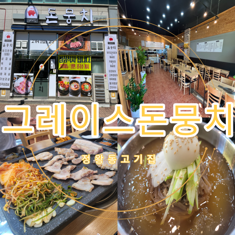 그레이스돈뭉치 이미지