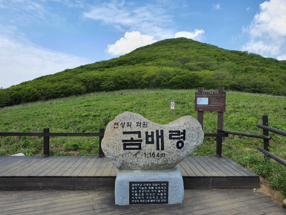 (주)칸여행사 이미지