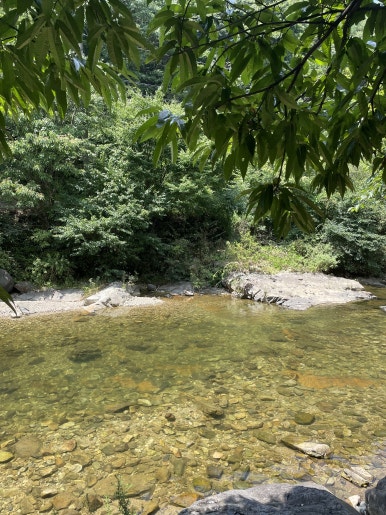 주천BHC 이미지