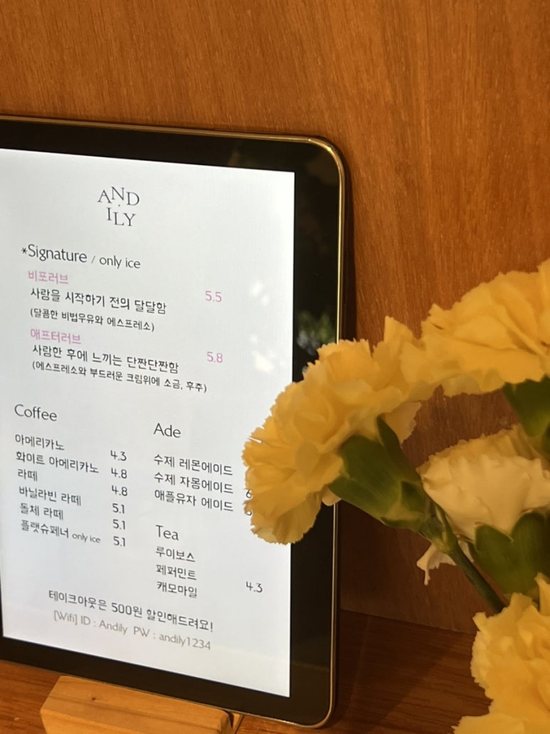 앤드일리Andily 이미지