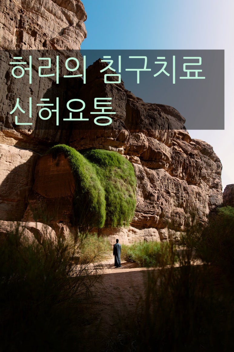 강통신 이미지