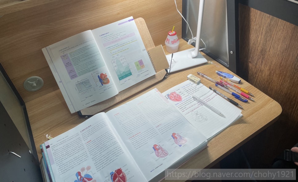 도토리스터디카페 이미지