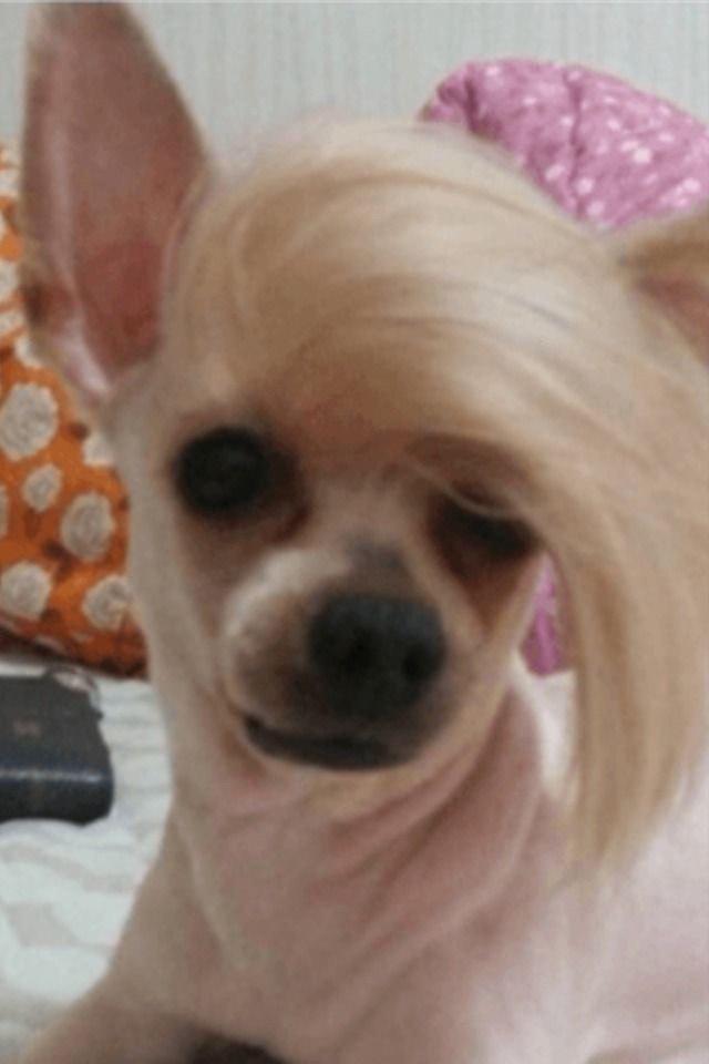 마스터엔터테인먼트 이미지