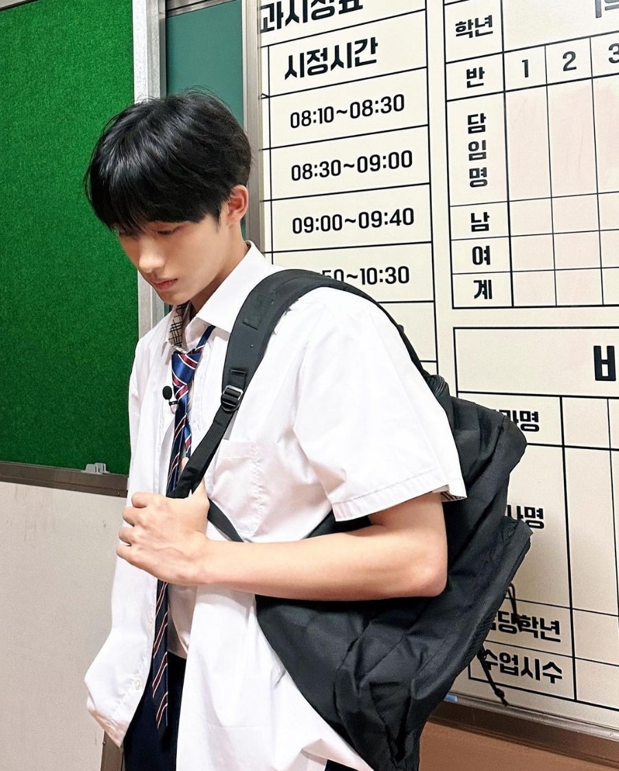 김밥나무 이미지