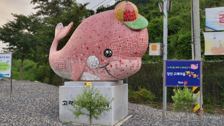 옥천스포츠 이미지