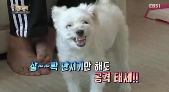 참숯불에꾸운닭앤꿈장어 이미지
