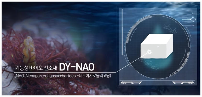 다인헬스케어 이미지