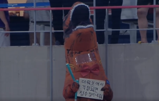 김밥나무 이미지