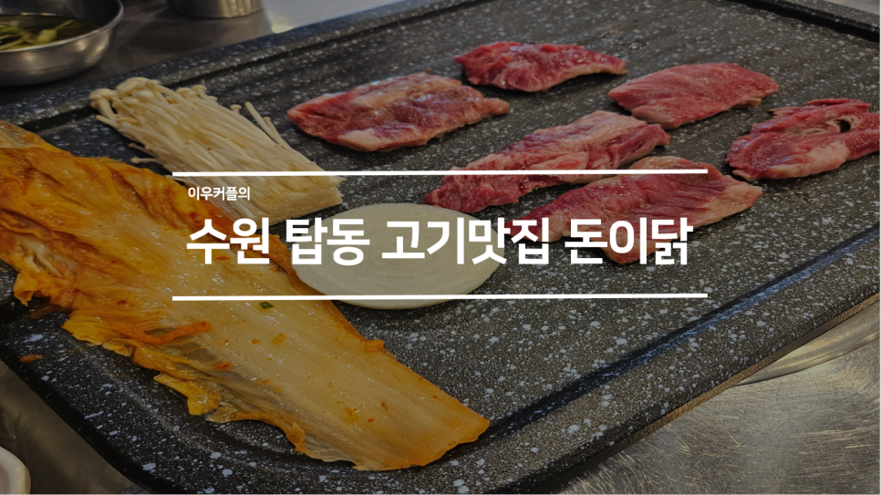 돈이닭 이미지