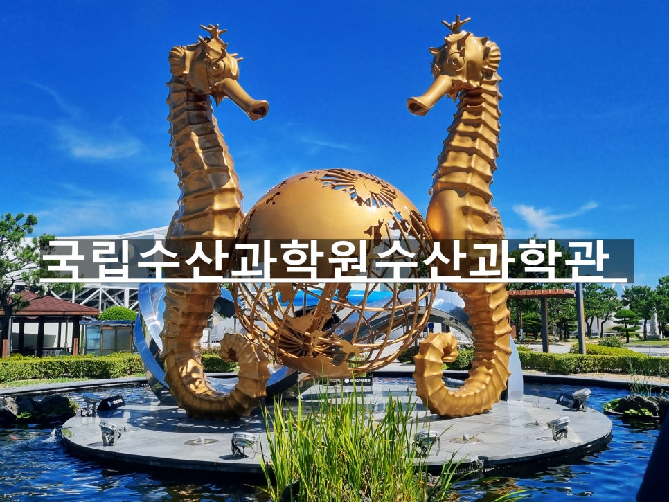 능금수산 이미지