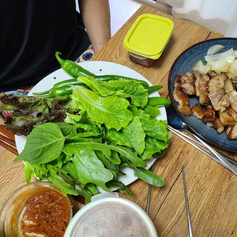 태풍흑돼지 이미지
