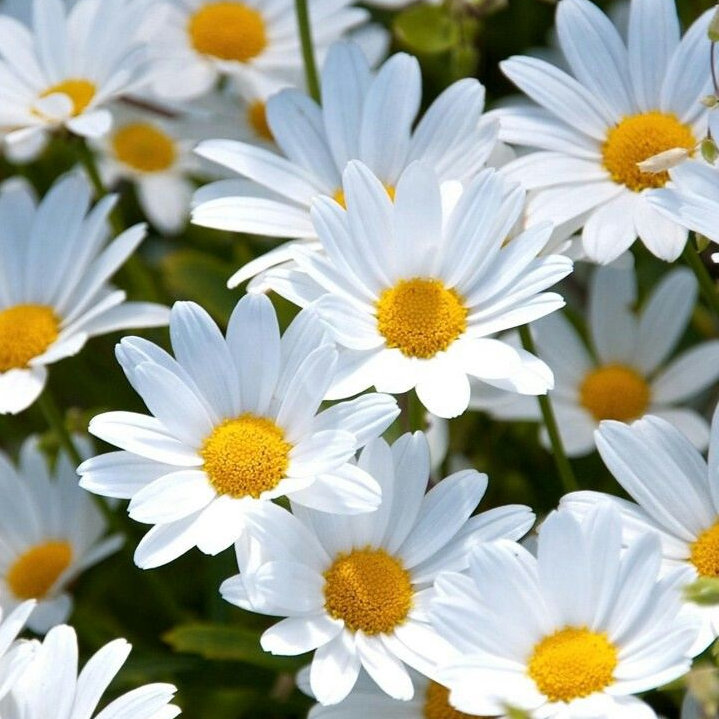대박디씨 이미지