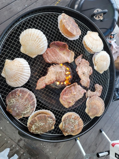 쿠 야영장 이미지