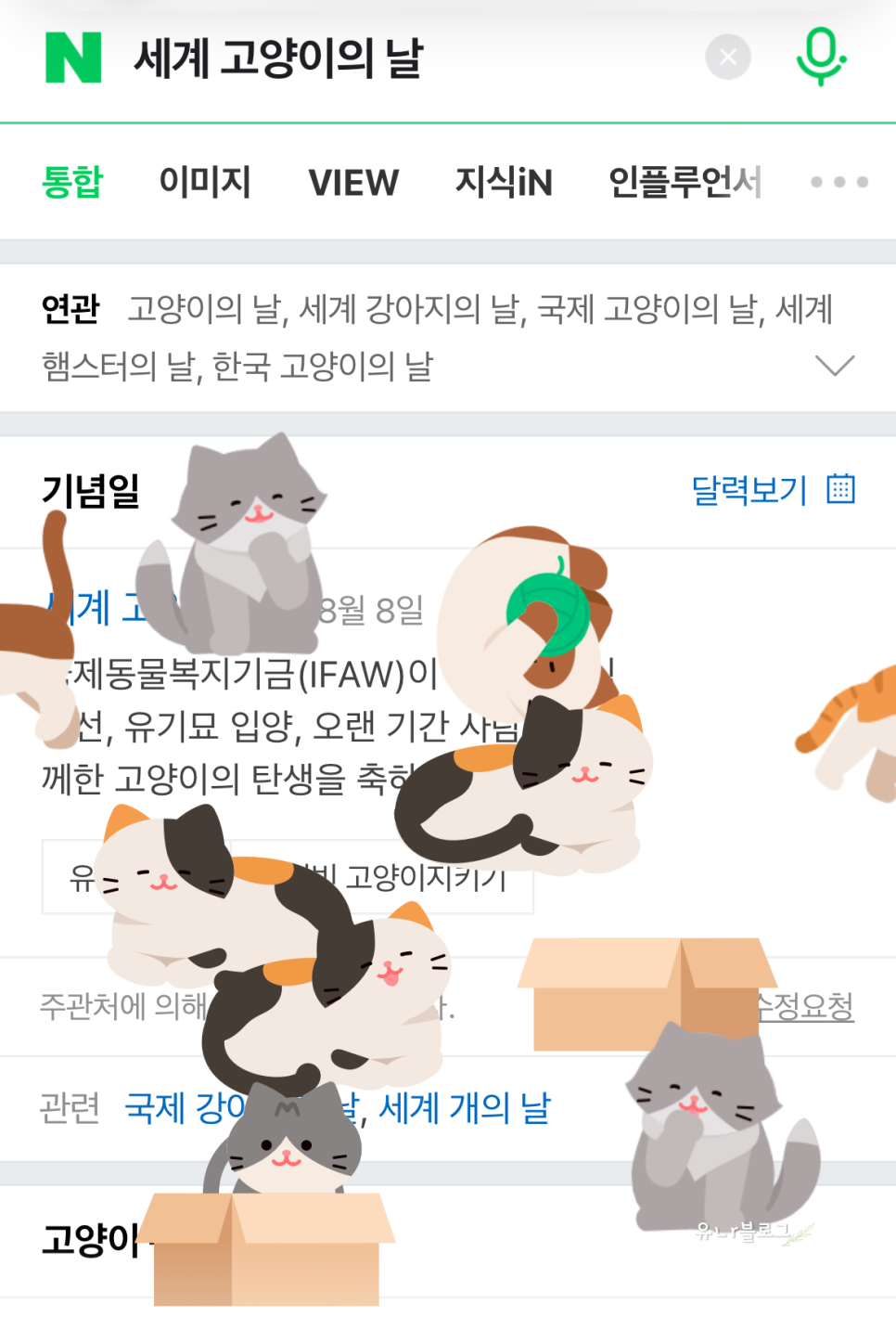 일루스터플라워 이미지