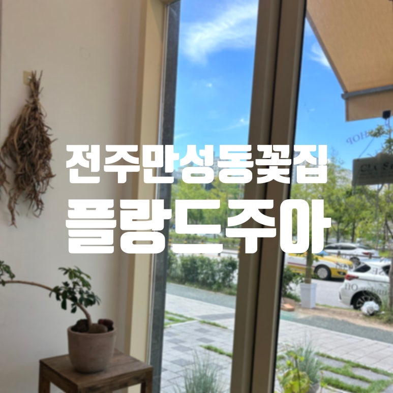 플랑드주아 이미지
