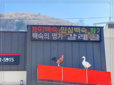 갈래골 이미지