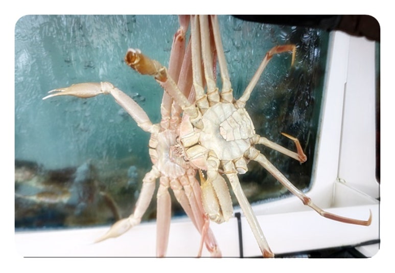 강릉하나로유통 이미지