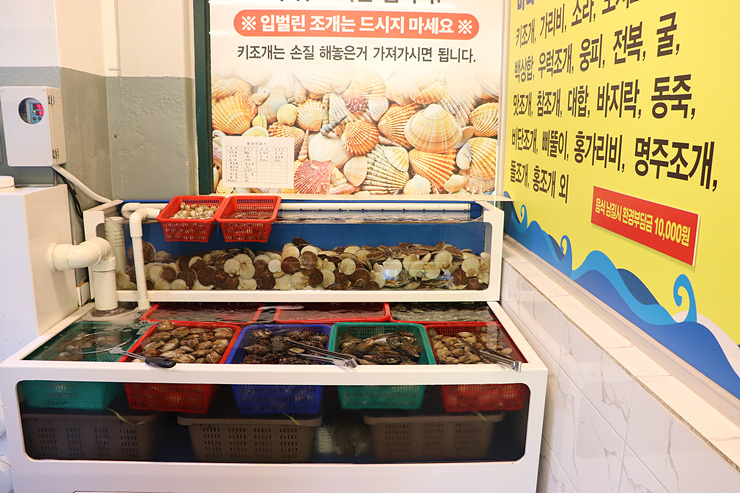 바다나무 이미지