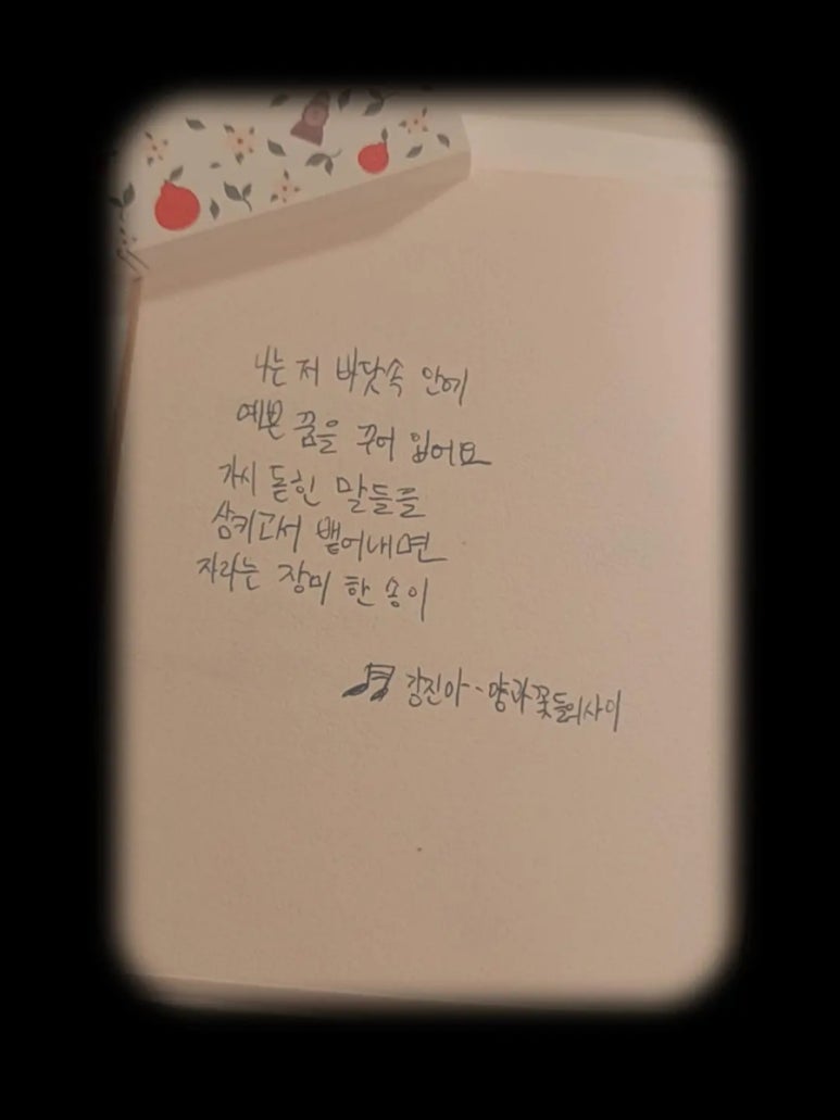 라잇요라이프 이미지
