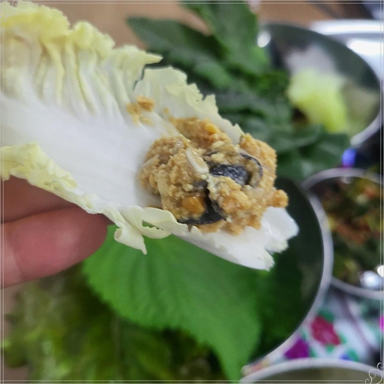 윤이냉삼집 이미지
