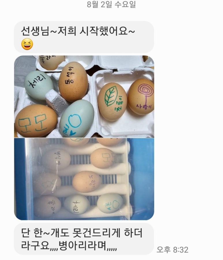 아빠사랑팜체험 이미지