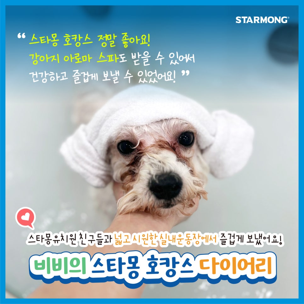 강남 애견호텔 스타몽, 스파와 함께 즐기는 강아지 호캉스
