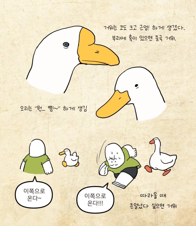 오리먹고갈비먹고 이미지
