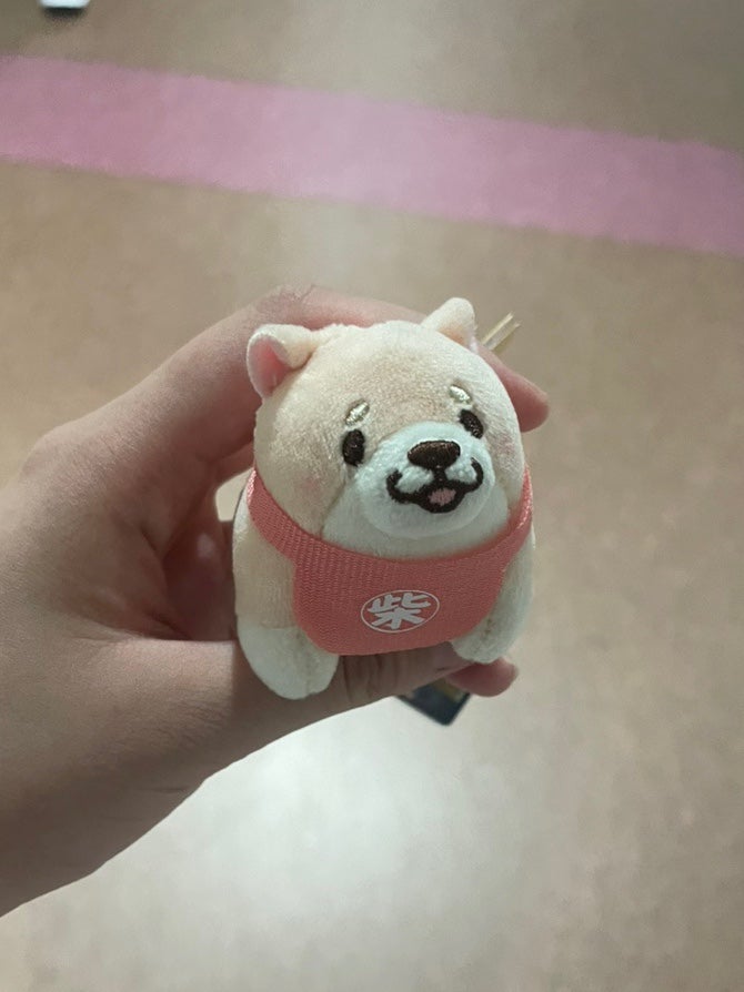 카츠스테이 이미지