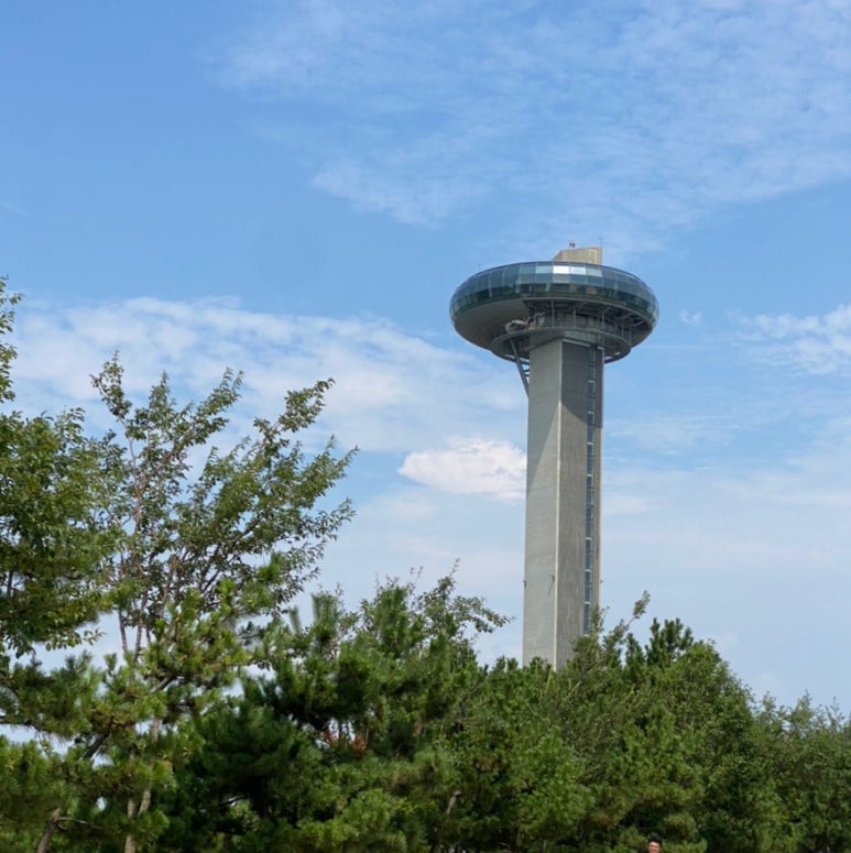 동이맛집 이미지