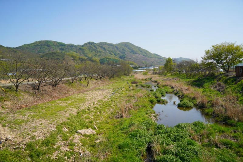 [국도23] 공주시 신기동 이미지