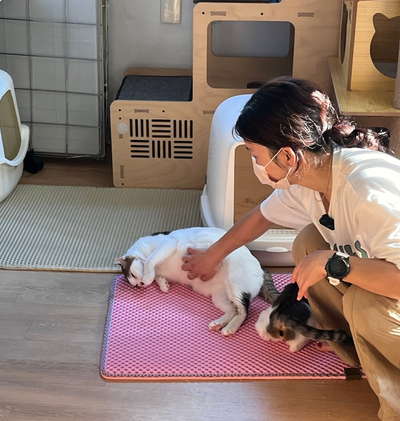 로켓참치 이미지