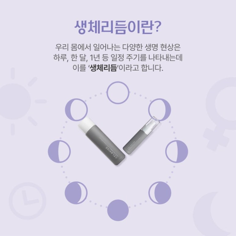 스킨365 이미지