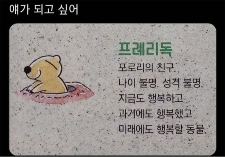 모어샌드위치 이미지