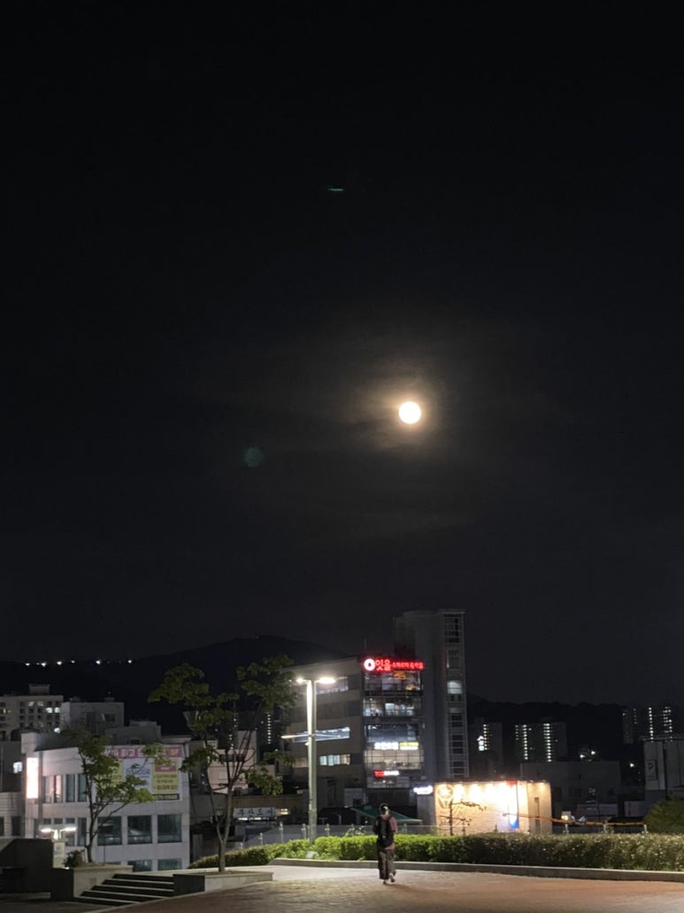 송가미트 이미지