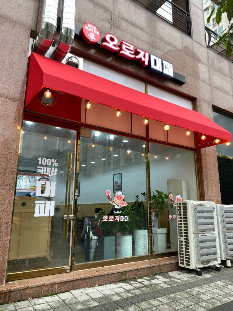 오로지 대패 이미지