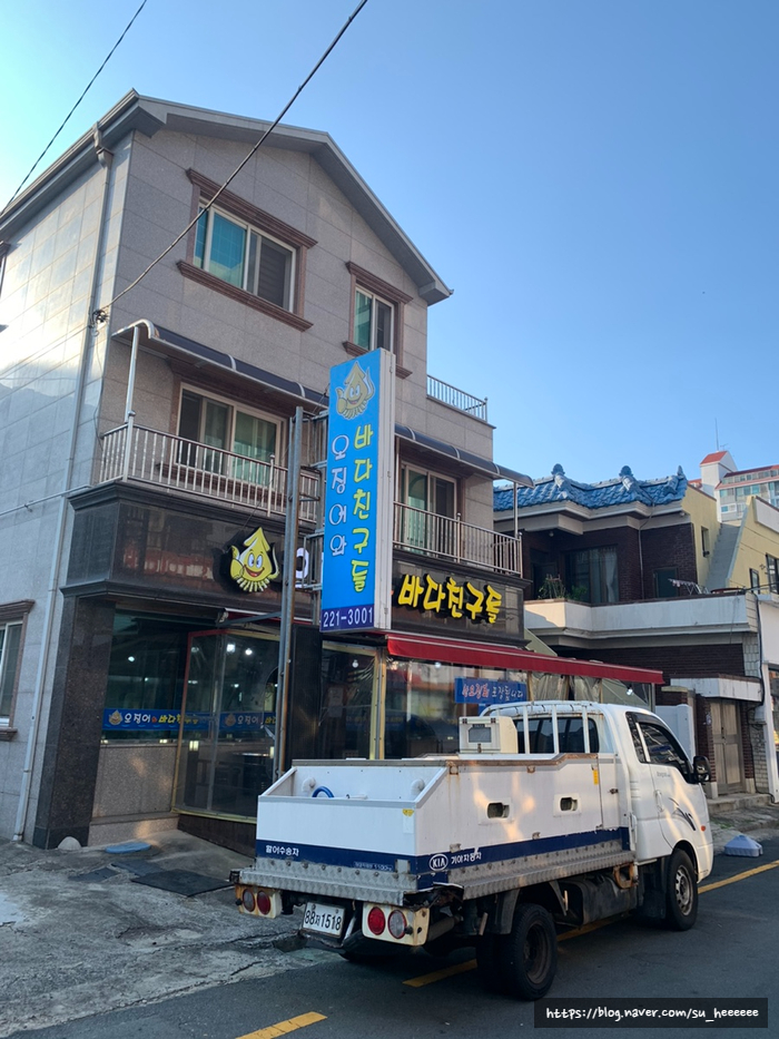 온마리오징어와바다친구들 이미지