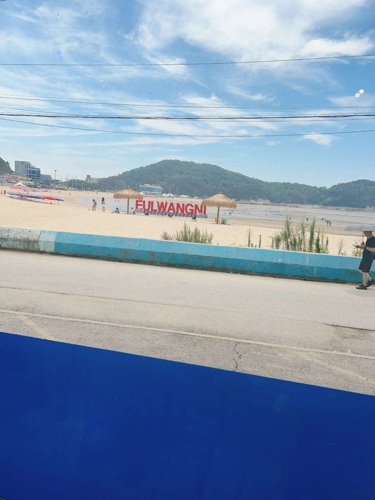산더미조개92 이미지