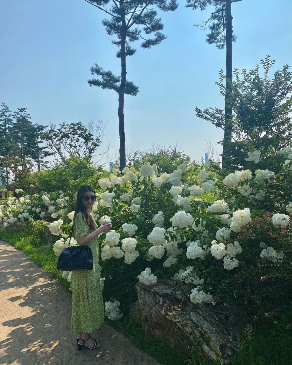 움찬전기 이미지