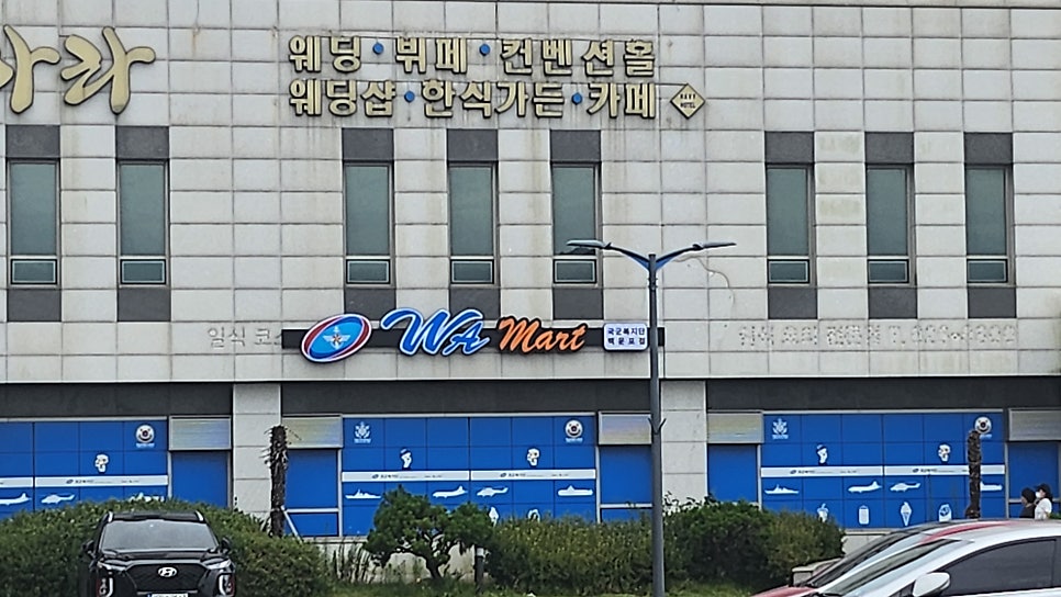 와마트다 이미지