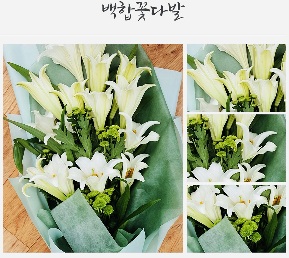 미르플라워 이미지