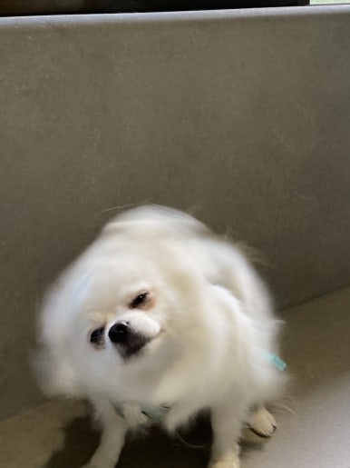오크라투어 이미지