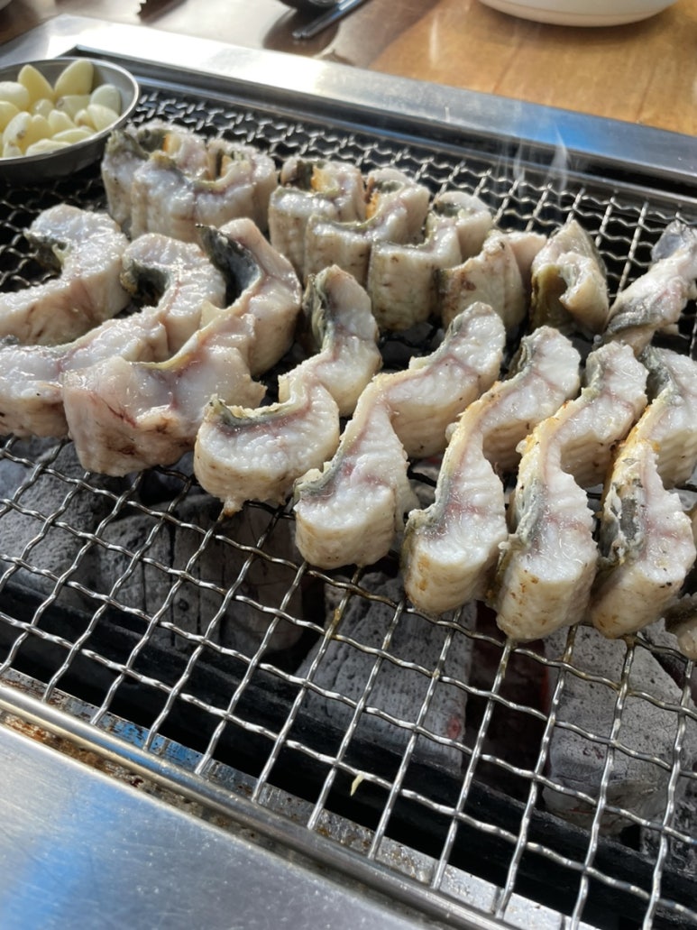 비장한장어 이미지