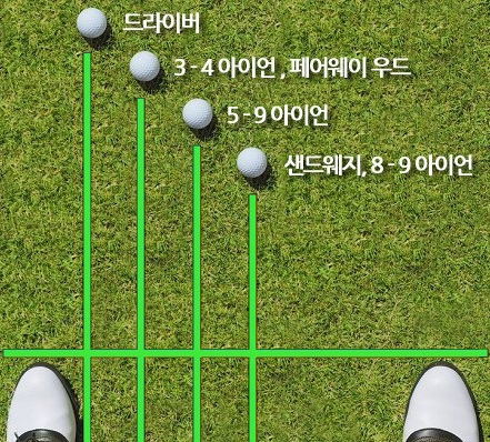 위치롱 이미지