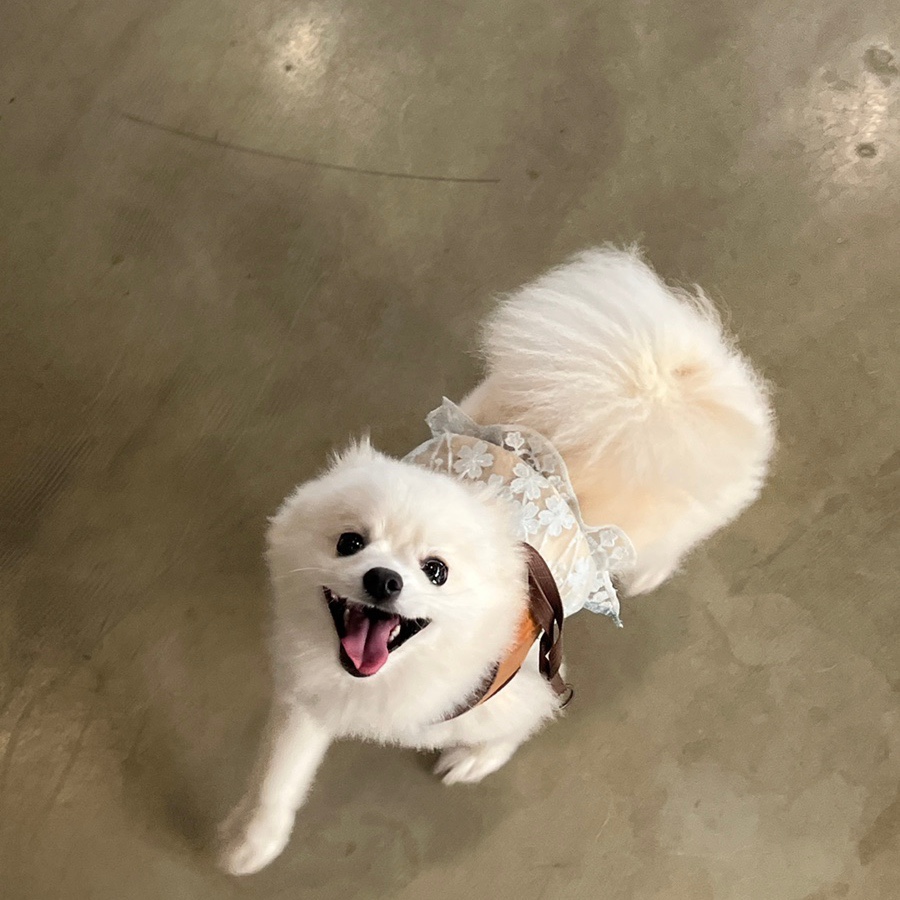 카페리브어스 이미지