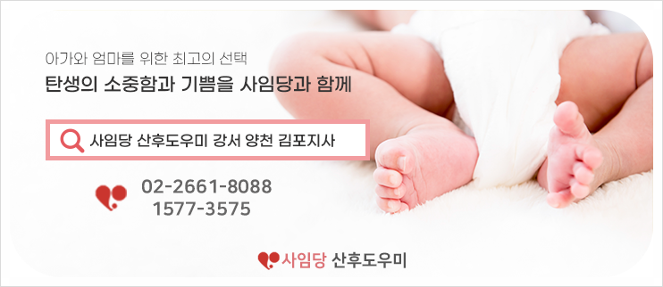 사임당 강서지사 이미지